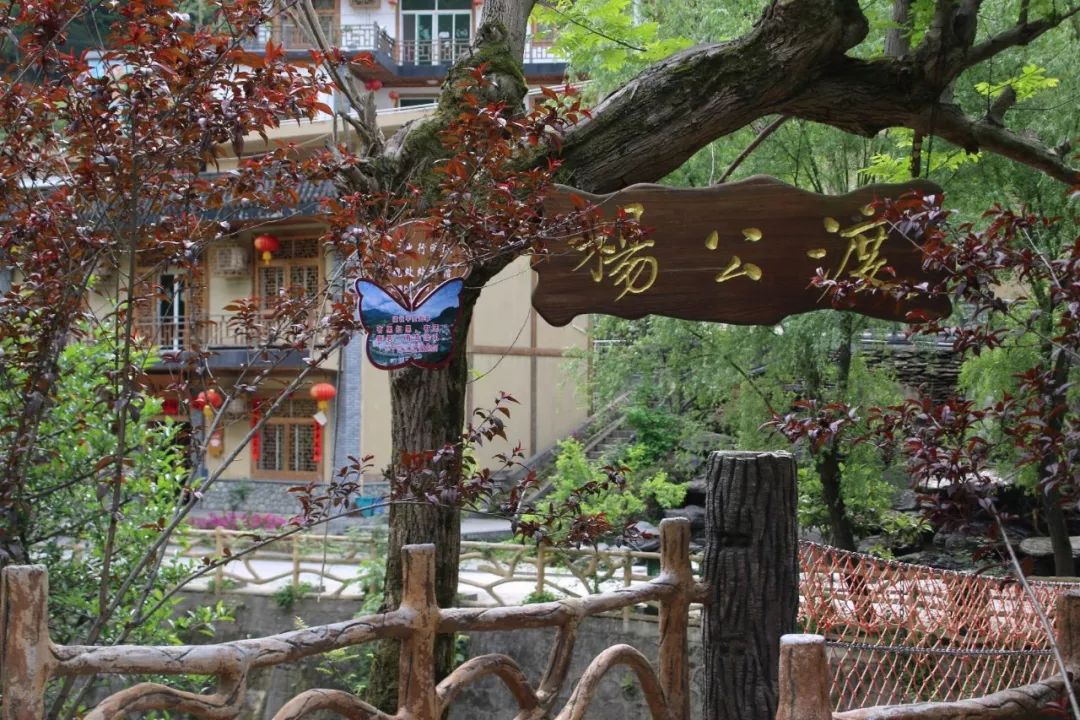 游山玩水,看日出,品美食,这才是岚皋最惬意最向往的地方